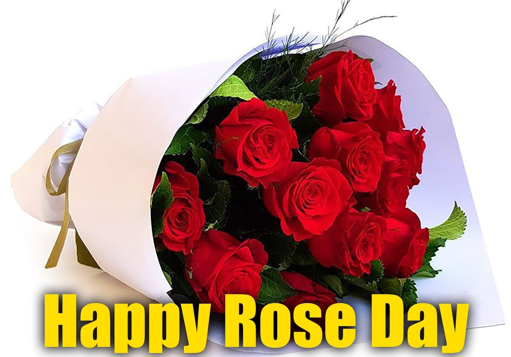 Happy Rose Day 2023: मेरी जिंदगी का वो खूबसूरत गुलाब हो तुम . . . रोज डे पर ऐसे दें शुभकामनाएं