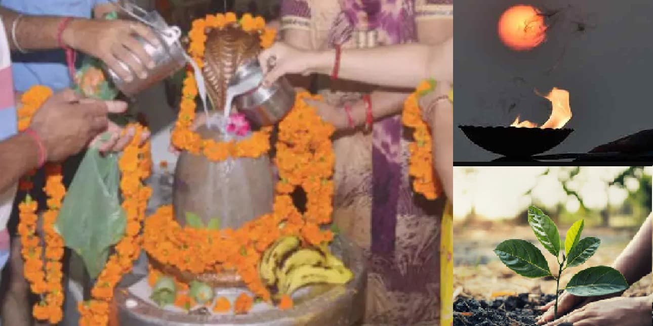 Hariyali Amavasya 2022: हरियाली अमावस्या कब है? जानें सही तारीख, पूजा विधि, उपाय और इस दिन का महत्व