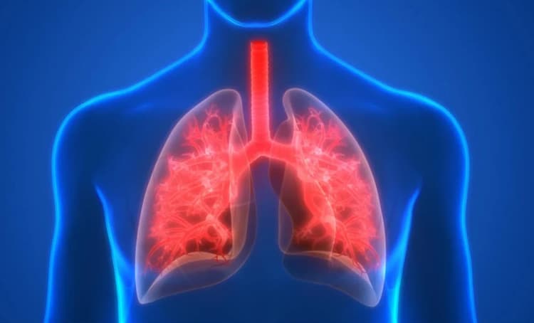 विश्व फेफड़ा दिवस: बिहार में बढ़ रही कमजोर फेफड़ों की समस्या, डेढ़ करोड़ हुए दमा के मरीज