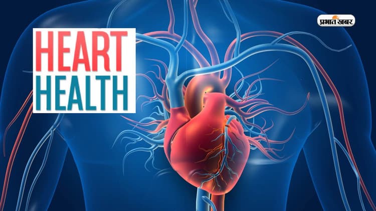 Winter Health Tips: सर्दियों में करेंगे इन 5 फूड्स का सेवन तो दिल की बीमारियों का खतरा होगा कम