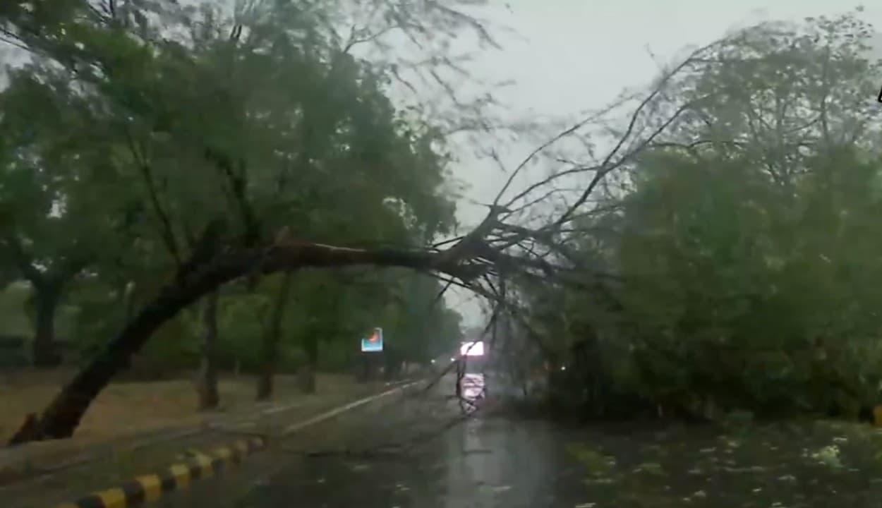 बिहार में आंधी-तूफान ने मचाई तबाही, दर्जनों पेड़ हुए धराशायी, बिजली आपूर्ति भी बाधित