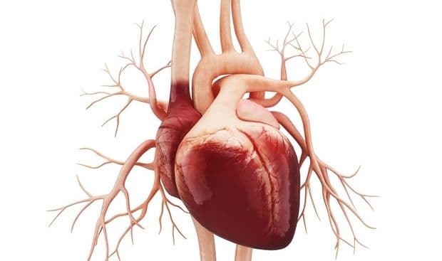 Poor Quality Carbohydrates वाला भोजन हार्ट अटैक, स्ट्रोक से लेकर मौत तक का बन सकता है कारण, नए शोध में और क्या हुआ खुलासा