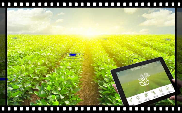 IoT और AI कैसे कर रहे हैं खेती का कायाकल्प? पढ़ें यह खास रिपोर्ट