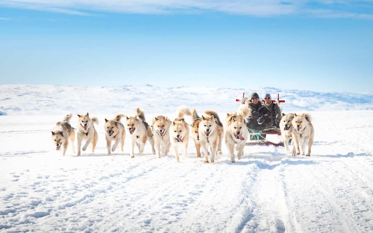 Greenland Tour: इस देश की जमीन पर पैर रखने के लिए लेना पड़ता है कुत्तों का सहारा, ऐसे करें ट्रैवल