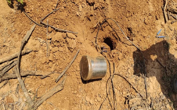 झारखंड: सुरक्षा बलों के खिलाफ नक्सलियों की साजिश फिर नाकाम, सर्च ऑपरेशन में जंगल से 11 आईईडी बम बरामद