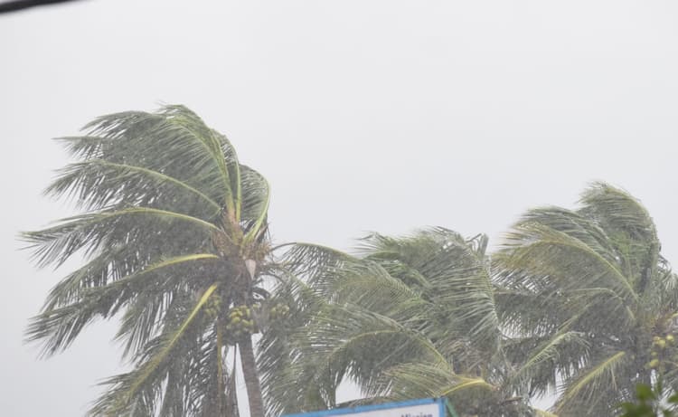 Bihar Weather: बिहार में आज 40 किमी घंटे की रफ्तार से चलेगी हवा, प्रदेश में आंधी-पानी और ठनका के आसार