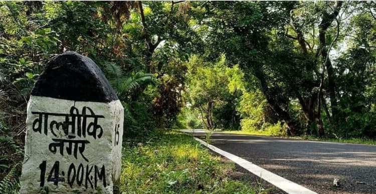 उत्तर बिहार में वाल्मीकिनगर बनी पर्यटकों की पहली पसंद, जंगल सफारी समेत इन जगहों की हो रही सैर