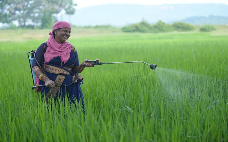 Prabhat Khabar Special: परिजनों ने घर से निकाला, समूह से जुड़ी और आज हजारीबाग की जयंती बनी लखपति किसान