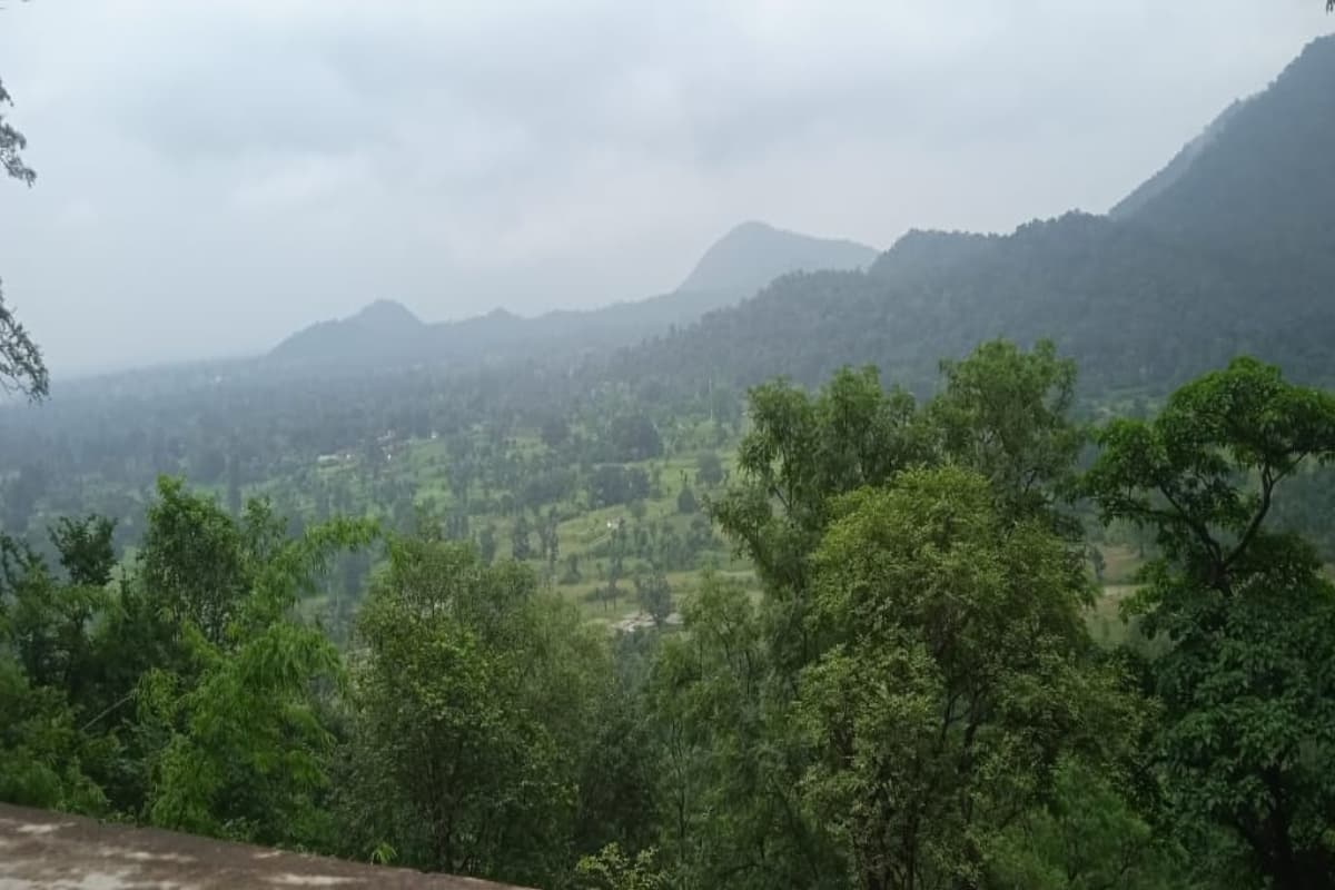 नक्सलियों के खात्मे के बाद बदली पीटीआर की फिजा, जहां थी बंदूकों की गूंज, अब सुनाई देते हैं पर्यटकों के ठहाके