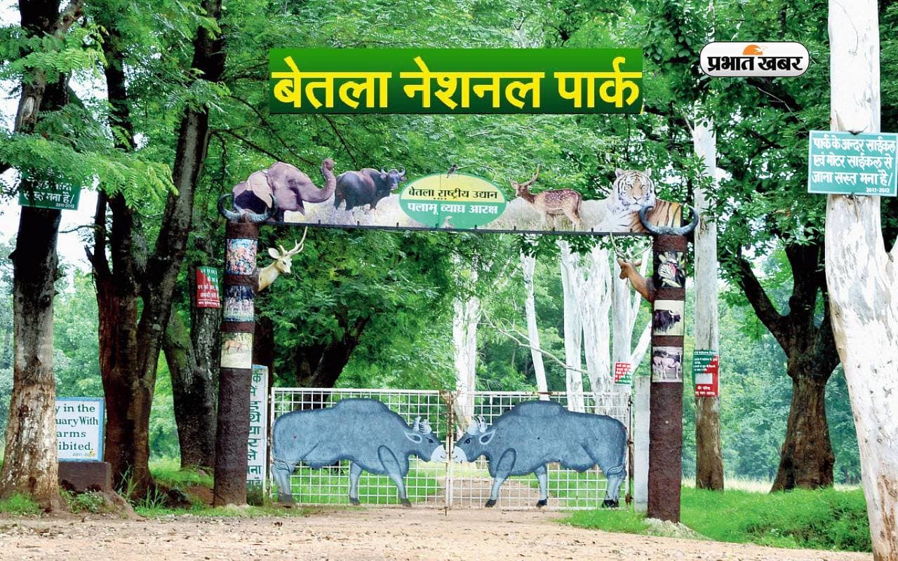 Jharkhand Tourist Destinations: बेतला नेशनल पार्क घूमने का करें प्लान, इस सीजन में टूर करना होगा बेस्ट