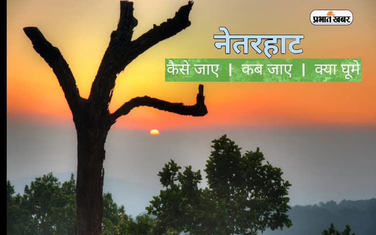 विंटर वैकेशन का बना रहे हैं प्लान तो Netarhat की वादियों में मिलेगा आपको सुकून, जानिए कब-कैसे पहुंचें