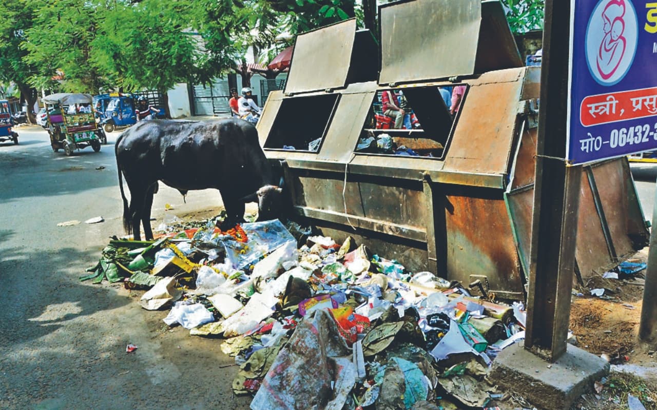 महापर्व छठ से पहले देवघर में कचरे का अंबार, सड़कों से गुजरने वालों को आ रही है दुर्गंध