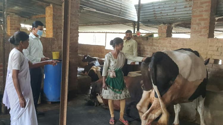 दुग्ध व्यवसाय से गुमला की ज्योति देवी ने बदली तकदीर, सालाना 10 लाख की कर रही आमदनी, जानें कैसे