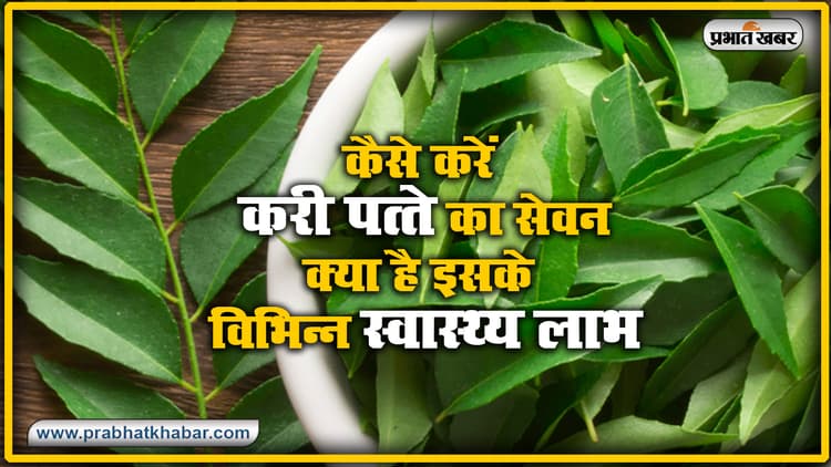 Health News : कैसे करें करी पत्ते का सेवन, दस्त से Diabetes तक, कई रोगों का है रामबाण इलाज