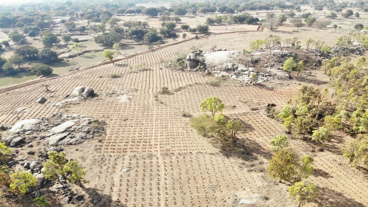 गुमला के कानारोवा गांव में बेकार पड़े सवा सौ एकड़ भूमि पर लगेंगे करीब 90 हजार पौधें, बिखरेगी हरियाली