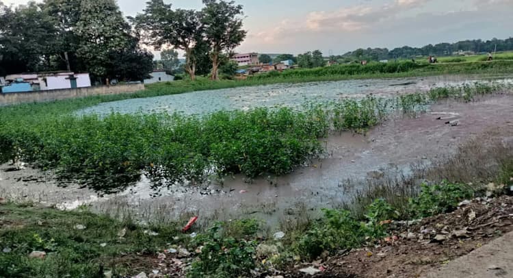 गुमला के 81 तालाब व बांध का अस्तित्व खतरे में, मत्स्य पालकों को हो रही परेशानी, नहीं ले रहा कोई सुध