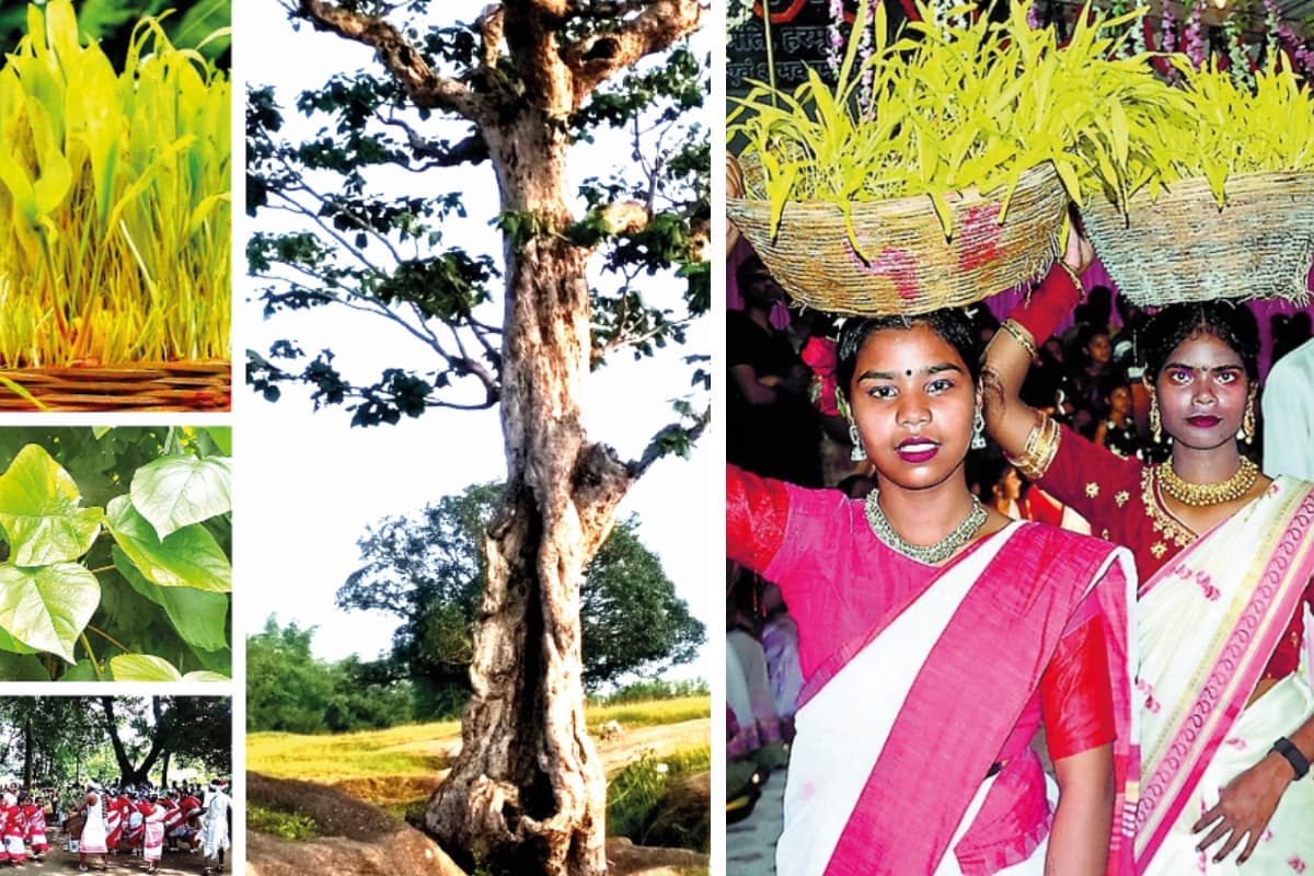 सफाई का कड़ाई से पालन होता है करम परब में