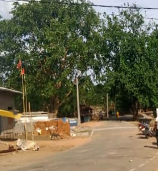 Corona Free Village In Jharkhand : झारखंड के हजारीबाग में NH-33 के किनारे है एक गांव बोचो, जहां कोरोना की दूसरी लहर से कोई नहीं हुआ प्रभावित, पढ़िए कैसे सुरक्षित रहे लोग Corona Free Village In Jharkhand : झारखंड के हजारीबाग में NH-33 के किनारे है एक गांव बोचो, जहां कोरोना की दूसरी लहर से कोई नहीं हुआ प्रभावित, पढ़िए कैसे सुरक्षित रहे लोग