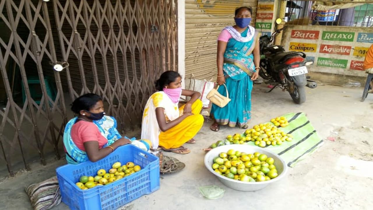 गुमला में आम, जामुन और पुट्टू की खूब डिमांड, इस बार हुई बंपर पैदावार