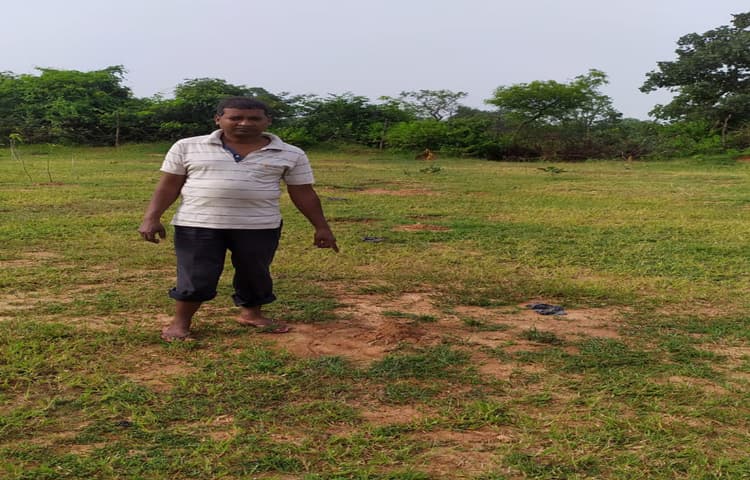 बड़कागांव में आम बागवानी में लगे करीब 150 पेड़ों को असामाजिक तत्वों ने उखाड़ फेंका, ग्रामीणों में रोष