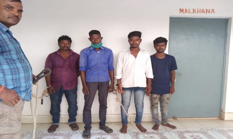 पश्चिम बंगाल के रानीगंज से स्कॉर्पियों पर सवार होकर दुमका आये थे मोबाइल चुराने, 3 किशोर समेत 7 गिरफ्तार