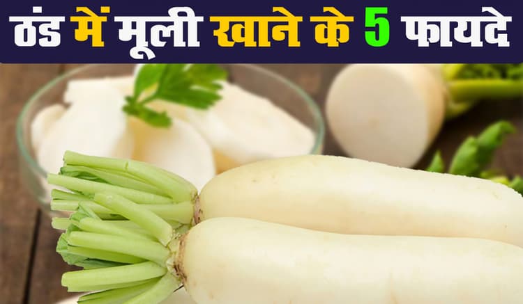 Health News: ठंड में मूली खाने के 5 फायदे, इम्यूनिटी से लेकर त्वचा, पाचन तंत्र और High BP में भी जरूरी