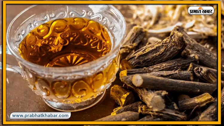 ज्यादा मात्रा में Mulethi के सेवन से अमेरिकी व्यक्ति की मौत, जानें हर दिन कितनी मात्रा में करें सेवन और क्या इसके फायदे व नुकसान