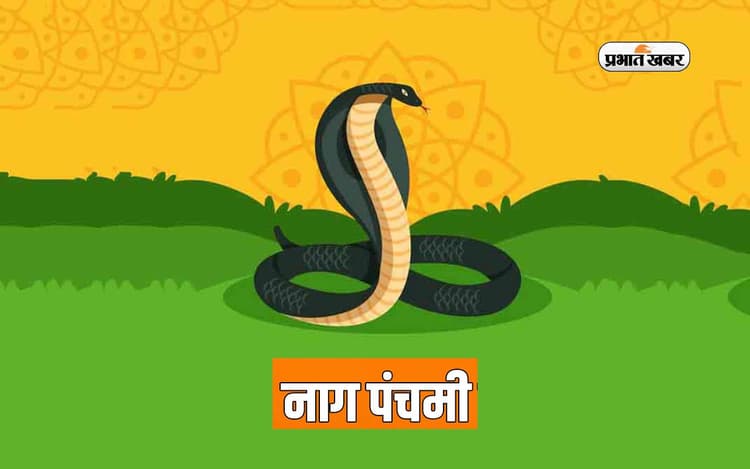 Nag Panchami 2023: नाग पंचमी पर शेषनाग के अलावा इन नाग देवताओं की भी होती है पूजा, जानें धार्मिक मान्यताएं