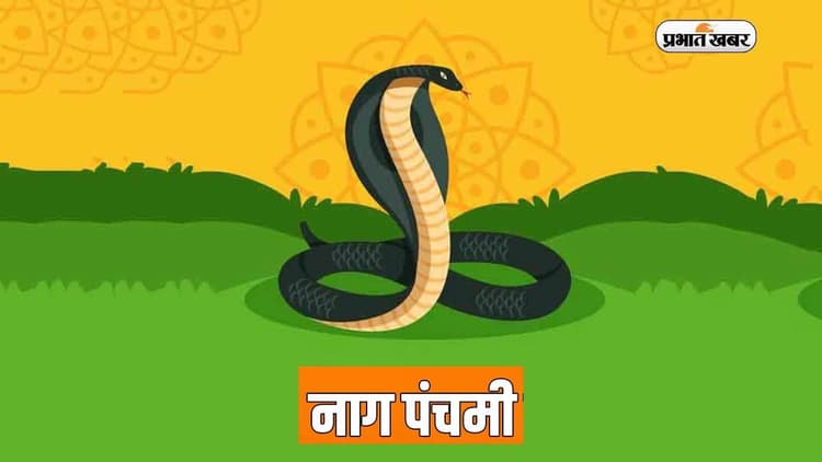 Nag Panchami 2023 Live: शुभ योग में नागपंचमी आज, श्रावण मास की सातवीं सोमवारी पर बन रहा महासंयोग