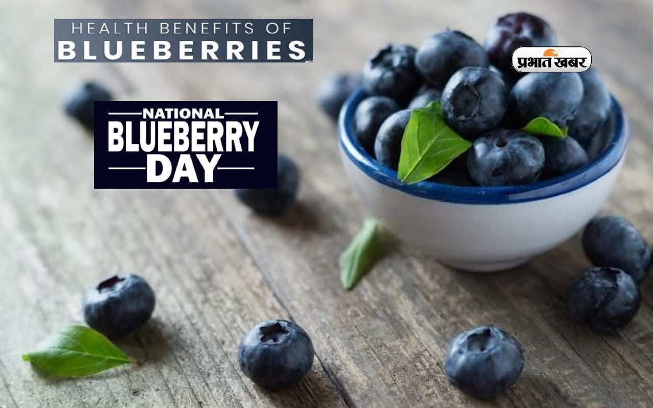 National Blueberry Day 2023 पर जानें ब्लूबेरी के फायदे, कोलेस्ट्रॉल कम करने से लेकर दिल का भी रखता है ख्याल