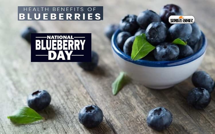 National Blueberry Day 2023 पर जानें ब्लूबेरी के फायदे, कोलेस्ट्रॉल कम करने से लेकर दिल का भी रखता है ख्याल
