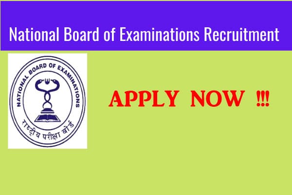 Sarkari Naukri, National Board of Examinations Recruitment 2020: 12वीं पास विद्यार्थियों को मिल रहा है नेशनल बोर्ड ऑफ एग्जामिनेशन में नौकरी पाने का मौका, 7 अगस्त से पहले करें आवेदन
