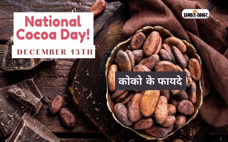 National Cocoa Day 2022: आज मनाया जा रहा है राष्ट्रीय कोको दिवस, जानें कोकोआ के फायदे