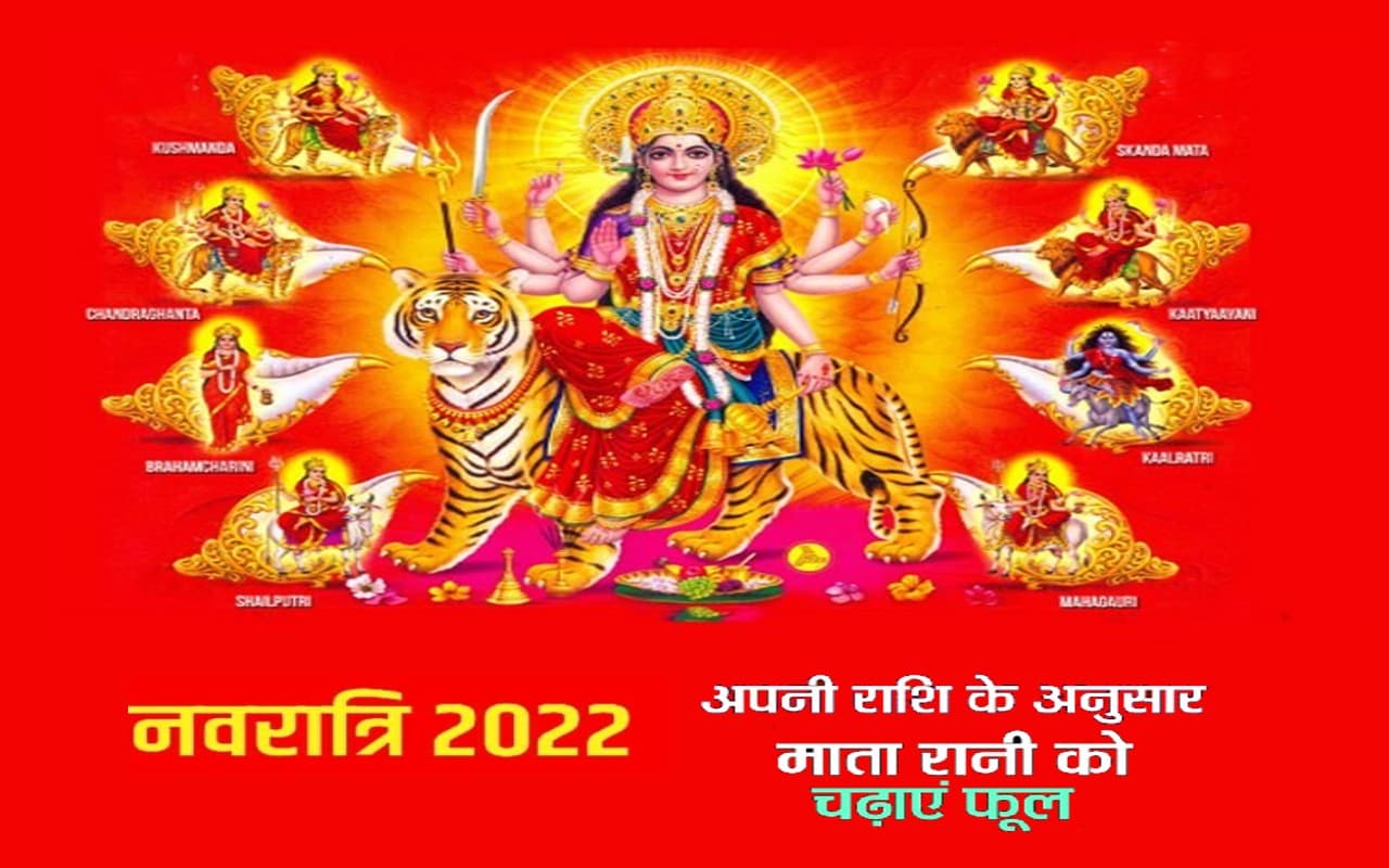 Durga puja 2022: Navratri में Maa Durga
के कौन से रूप की पूजा से मिलता है किस ग्रह दोष से मुक्ति, जानें