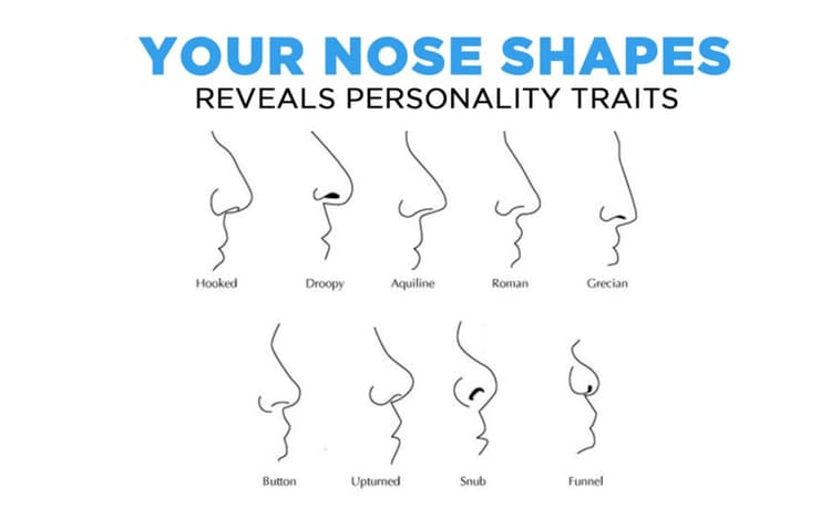 आपका Nose shape आपकी पर्सनालिटी के बारे में क्या बताता है? जानिए स्वभाव और लक्षण