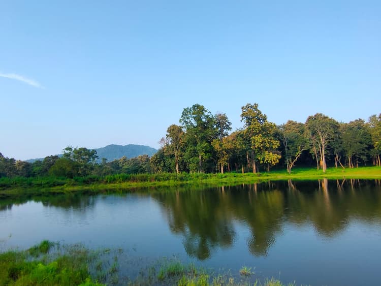 Tourist Places In Jharkhand : अब जंगल सफारी से पलामू टाइगर रिजर्व के बीहड़ों का कर सकेंगे दीदार, ये है तैयारी