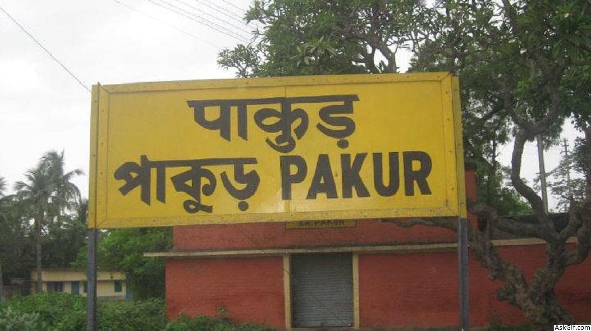 झारखंड के पाकुड़ में नाबालिग का अपहरण कर जबरन शादी, छह लोगों के खिलाफ मामला दर्ज