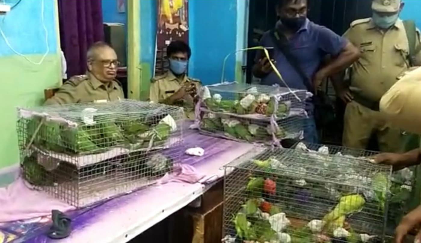 Malda News: कोलकाता जा रही जोगबनी एक्सप्रेस से फिर 124 तोते जब्त