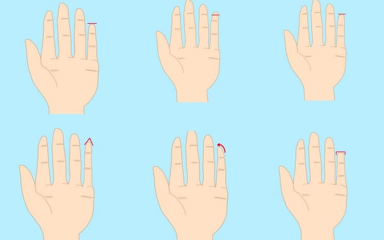 छोटी उंगली की लंबाई और शेप से जानिए अपनी पर्सनालिटी के राज, व्यक्तित्व, स्वभाव, लक्षण