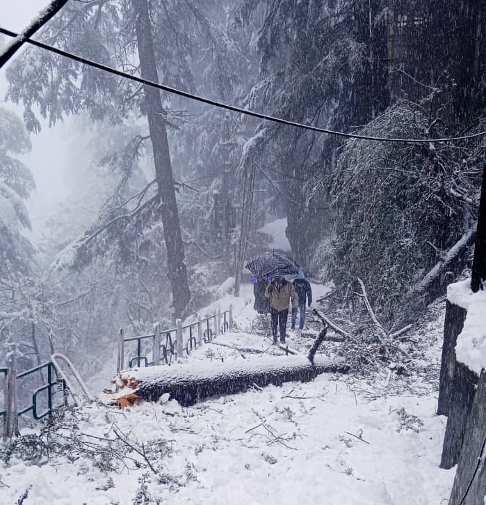 Uttarakhand Election 2022: बर्फबारी से सड़क सफेद, फिर भी चुनाव प्रचार का जोश, जानें क्या है यहां दिक्कत Uttarakhand Election 2022: बर्फबारी से सड़क सफेद, फिर भी चुनाव प्रचार का जोश, जानें क्या है यहां दिक्कत