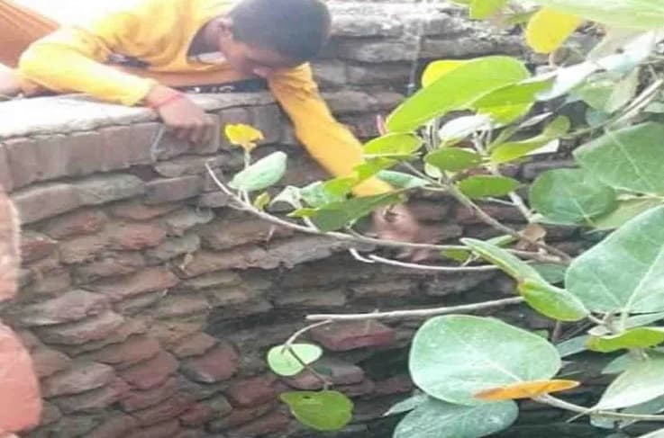 UP NEWS : ...और कुएं से निकलने लगे दो हजार-पांच सौ के नोट उसके बाद...