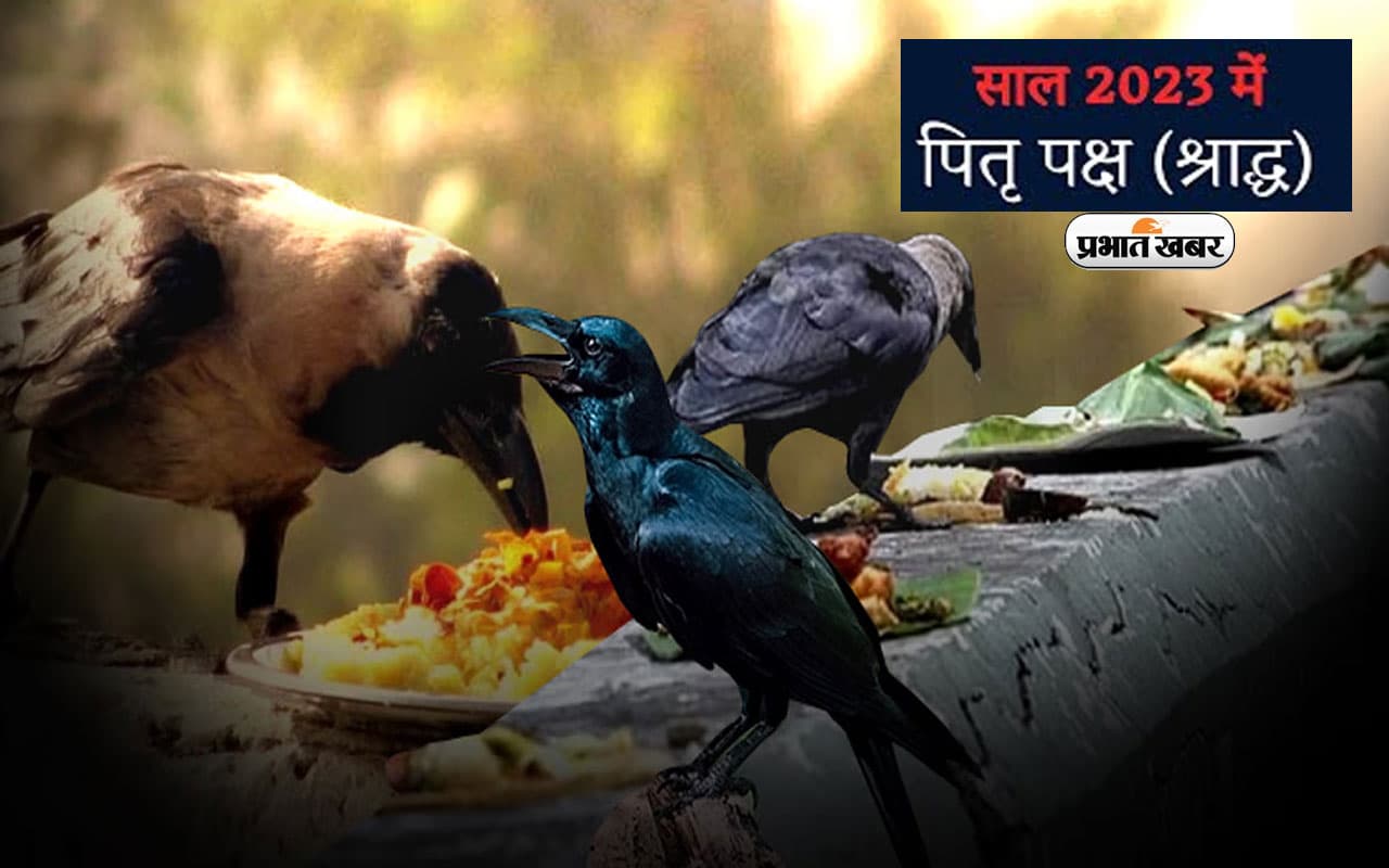 Pitru Paksha 2023: पितृ पक्ष में कौआ, गाय, कुत्ता और चींटी को आहार देना क्यों है जरूरी