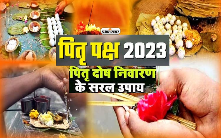 Pitru Paksha 2023: पितृ दोष की वजह से रूक गई है तरक्की, जानिए किन तरीकों से कटता है पितृदोष