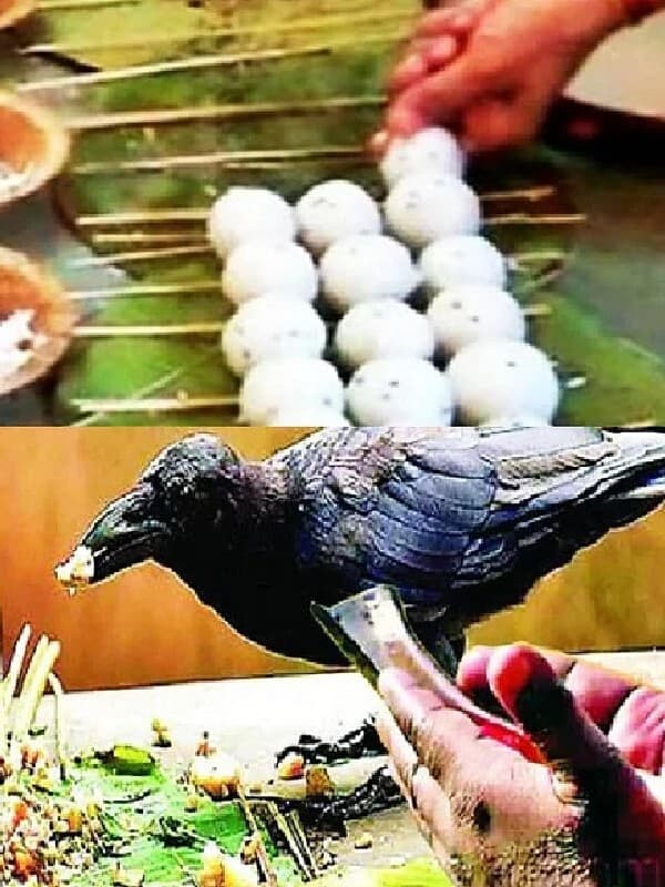 Pitru Paksha 2023: पितृपक्ष इस दिन से होने जा रहा शुरू, इस दौरान भूलकर भी ना करें ये काम