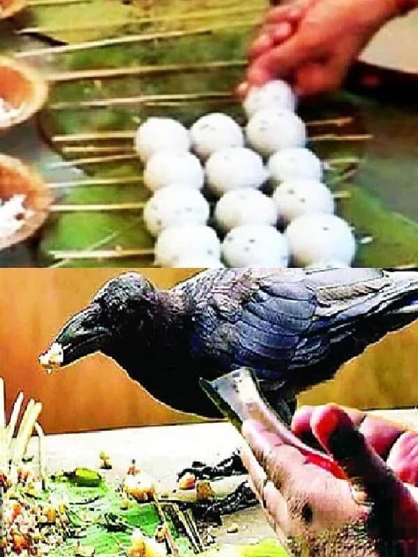 Pitru Paksha 2023: पूर्णिमा के दिन से शुरू होंगे श्राद्ध पक्ष, यहां जानें पितृपक्षीय पिंडदान-तर्पण की तिथियां