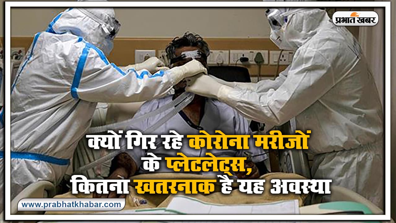 डेंगू की तरह क्यों गिर रहे कोरोना मरीजों के प्लेटलेट्स, कितना खतरनाक है यह अवस्था और कितनी होनी चाहिए कुल संख्या, जानें सब कुछ