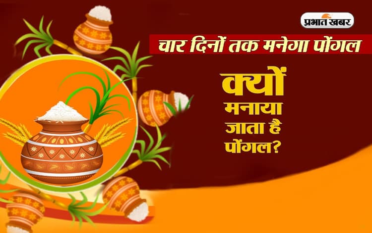 Pongal 2024: कब से शुरू होगा चार दिवसीय पोंगल पर्व, जानें इस पर्व से जुड़ी परंपरा और महत्व