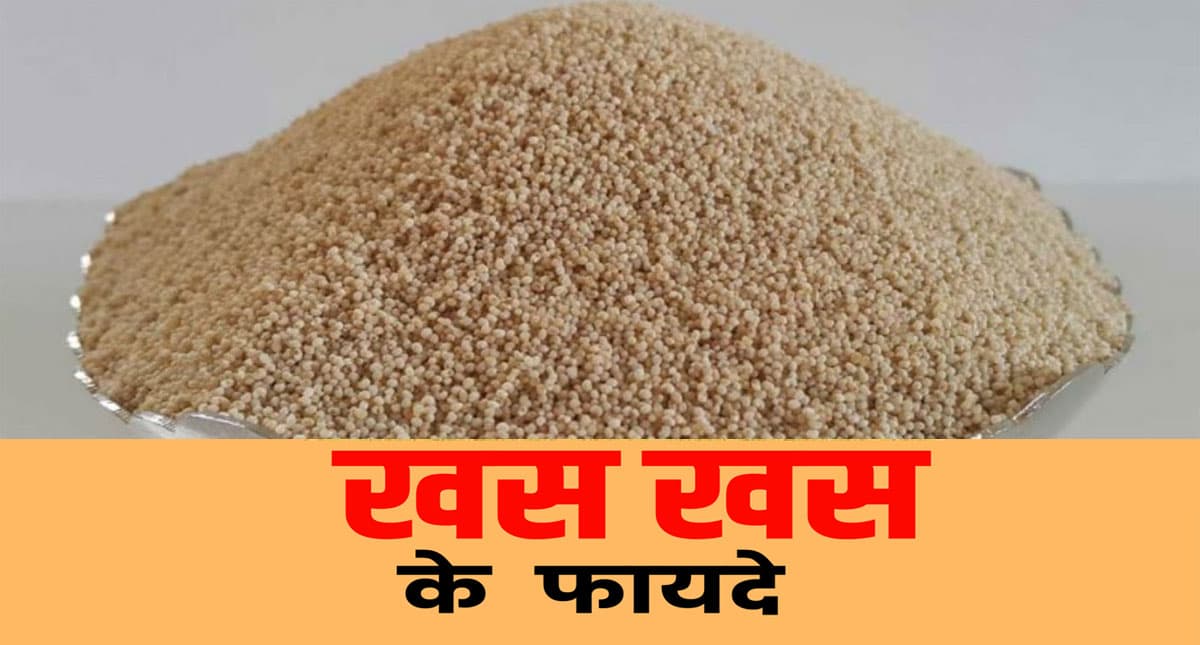 Poppy Seeds Benefits: बड़ा फायदे का है खसखस का इस्तेमाल, हड्डियों व दांतों को ऐसे बनाता है मजबूत