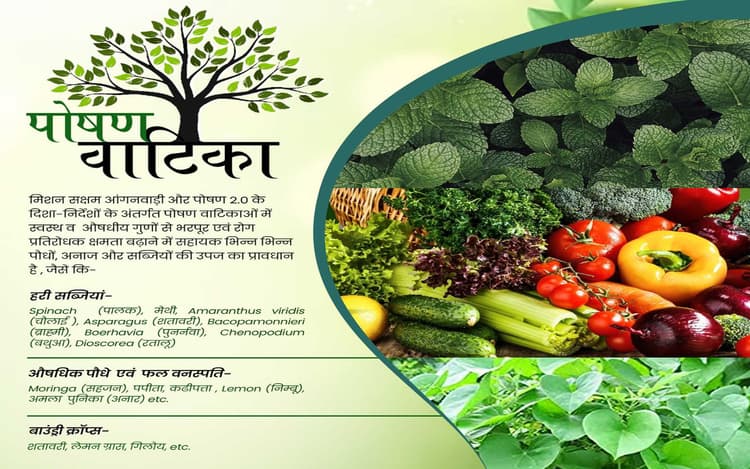 झारखंड : पोषण वाटिका से दूर होगा कुपोषण, स्कूली बच्चों को मिलेंगी हरी व ताजी सब्जियां