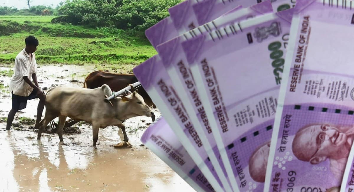 किसान आंदोलन के बीच पीएम मोदी सरकार ने बढ़ायी गेहूं और रबी फसलों की एमएसपी